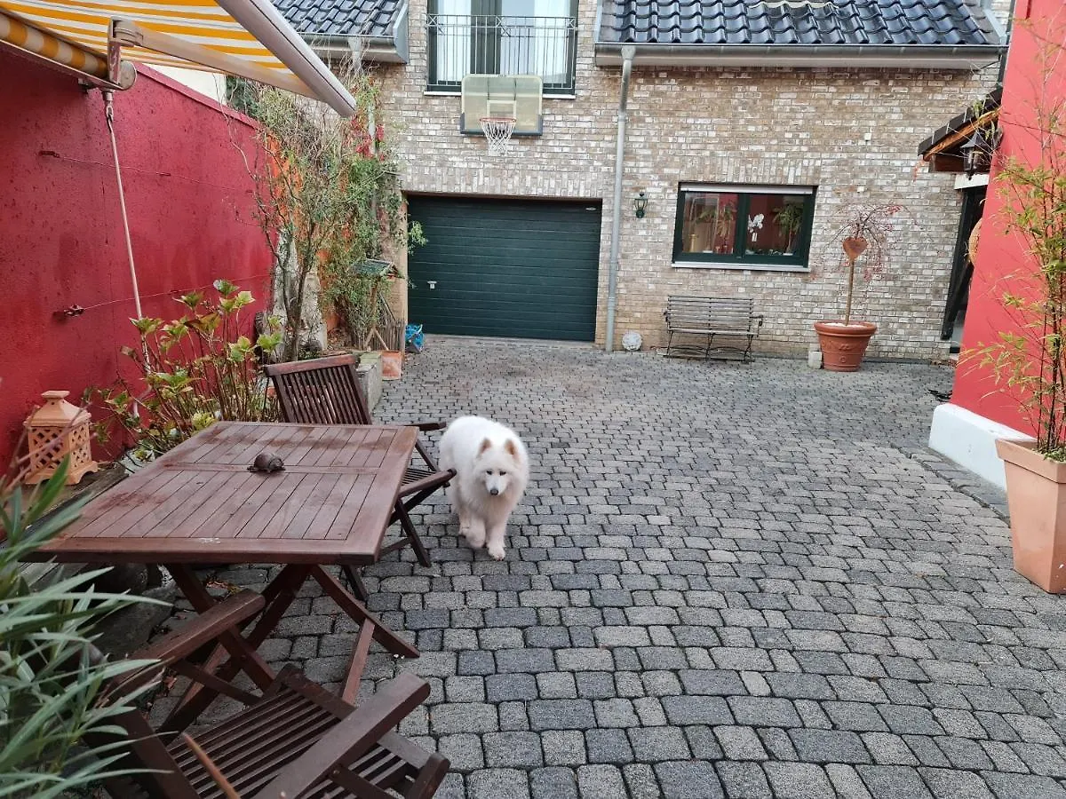 Schoenste Lage Am Rhein, Behagliches Haus Mit Kamin. Colónia 0*,