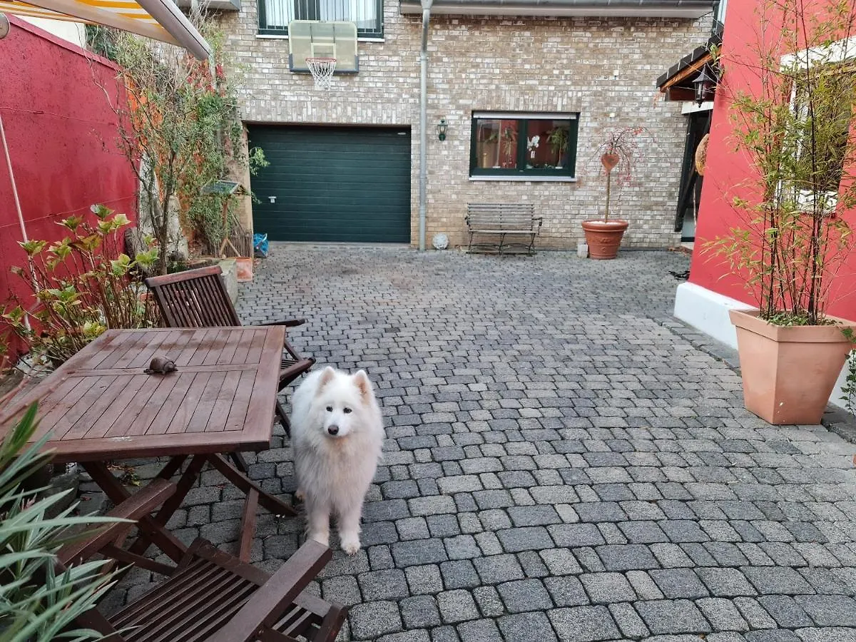 Schoenste Lage Am Rhein, Behagliches Haus Mit Kamin. Colónia Alemanha