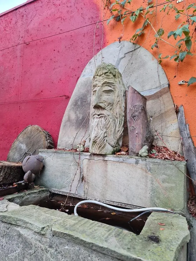 Schoenste Lage Am Rhein, Behagliches Haus Mit Kamin. Colónia 0*,